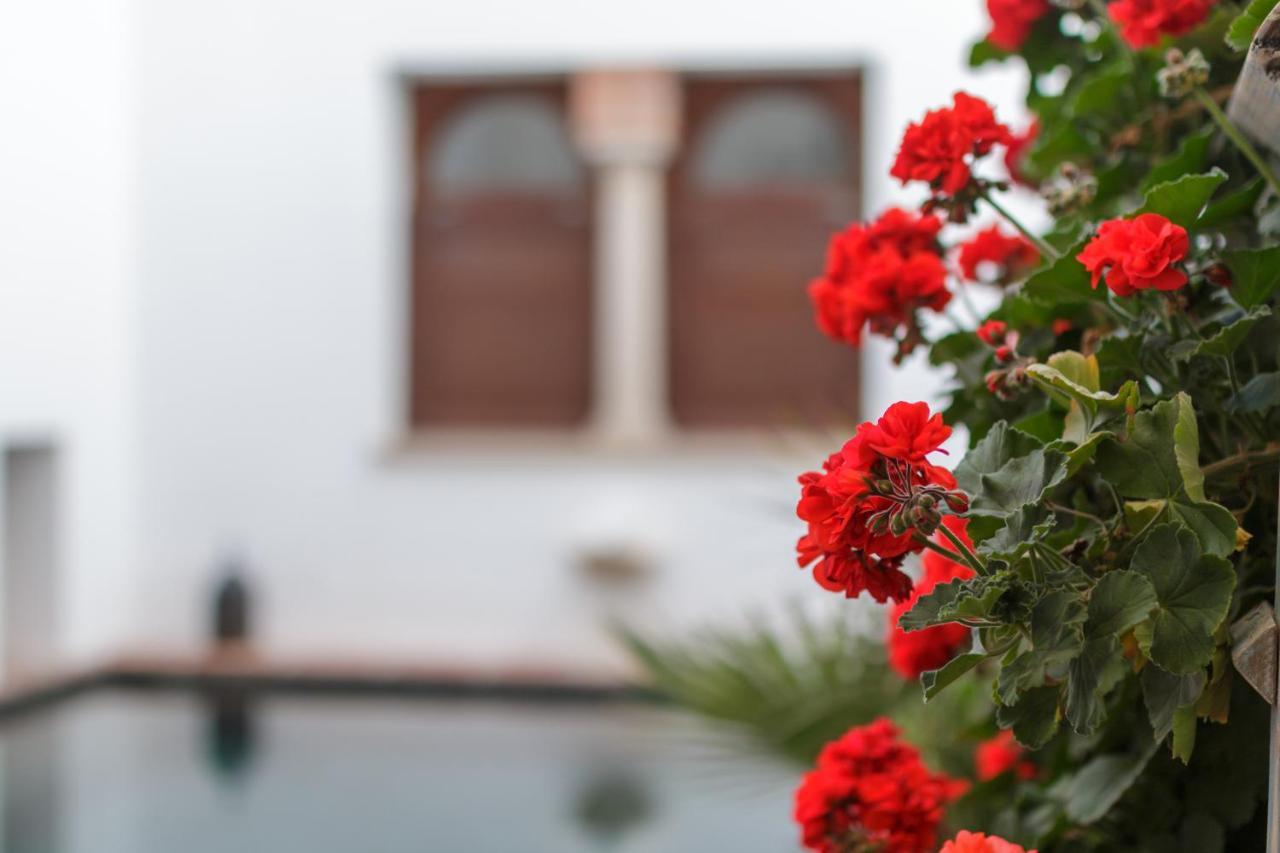 Apartasuites Alberca Deluxe Κόρδοβα Εξωτερικό φωτογραφία